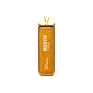 Blue Raspberry - North - Vision 15k Puffs - Disposable Vape