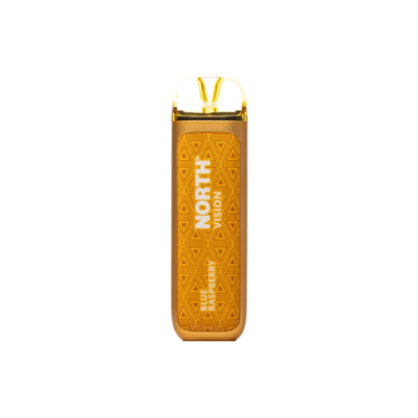 Blue Raspberry - North - Vision 15k Puffs - Disposable Vape