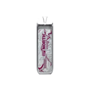 Blueberry Watermelon - North - Vision 15k Puffs - 0% NIC - Disposable Vape