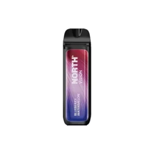 Blueberry Watermelon - North - Vision 15k Puffs - Disposable Vape