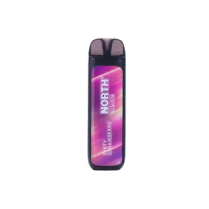 Dirty Strawberry - North - Vision 15k Puffs - Disposable Vape