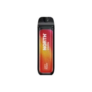 Juicy Peach - North - Vision 15k Puffs - Disposable Vape