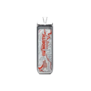 Mango Dragon Fruit - North - Vision 15k Puffs - 0% NIC - Disposable Vape