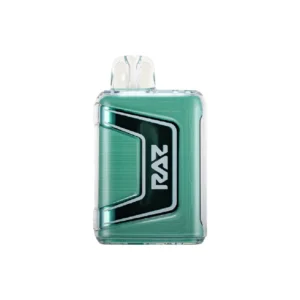 Miami Mint - Raz - TN 9000 Puffs - Disposable Vape