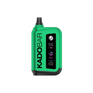 Miami mint - Kado Bar - Rizz 25000 Puffs - Disposable Vape