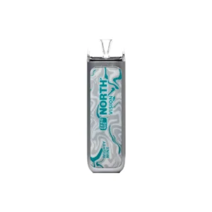 Mighty Mint - North - Vision 15k Puffs - 0% NIC - Disposable Vape
