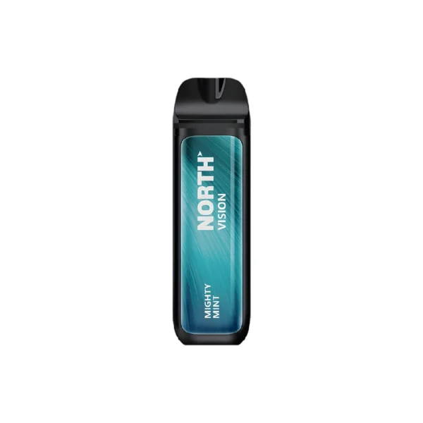 Mighty Mint - North - Vision 15k Puffs - Disposable Vape