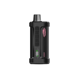 Mint Berry - Tyson 2.0 - Iron Mike Tyson 15k Puffs - Disposable Vape