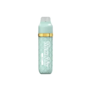 Mint - Mr Fog - Max Air 3000 Puffs - Disposable Vape