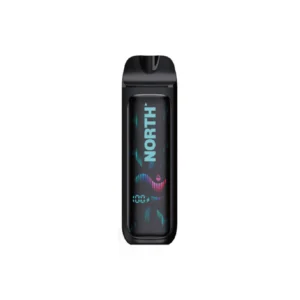 Vanilla Tobacco - North - Vision 15k Puffs - Disposable Vape