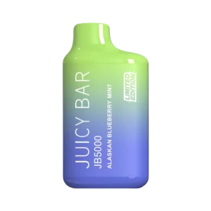 Alaskan Blueberry Mint - Juicy Bar JB5000