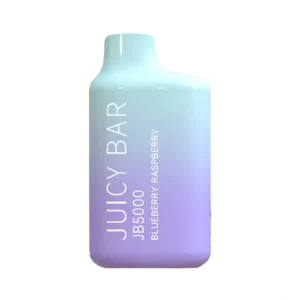 Blueberry Raspberry - Juicy Bar JB5000